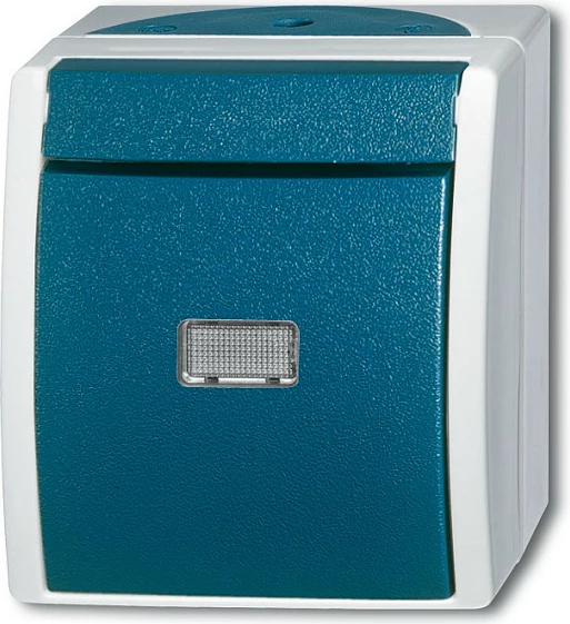 Switch ndriçues Busch-Jaeger 1484-0-0371, IP44, 10A 250V, blu/gri