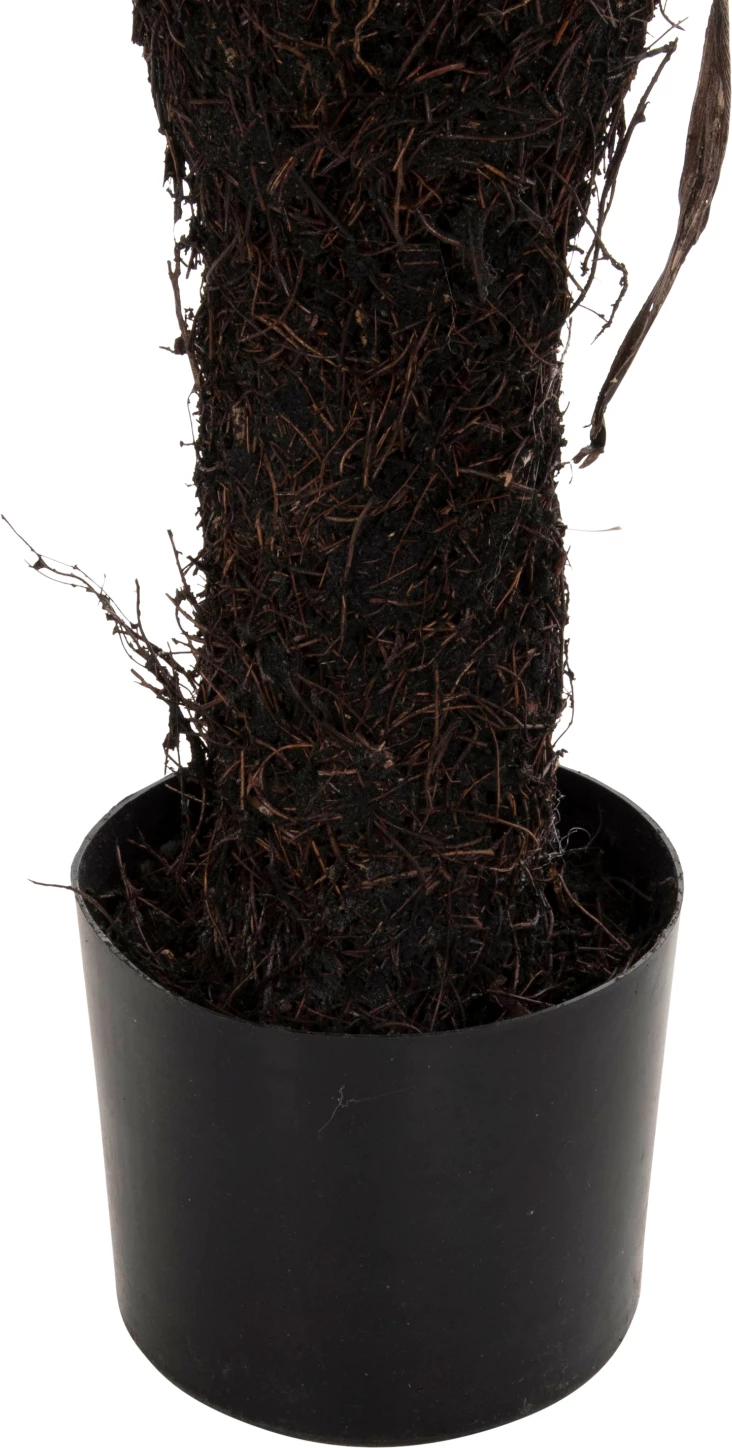 Bimë sintetike dekorative, FH7975, Asplenium Prolongatum (ferne), në vazo, 137H cm