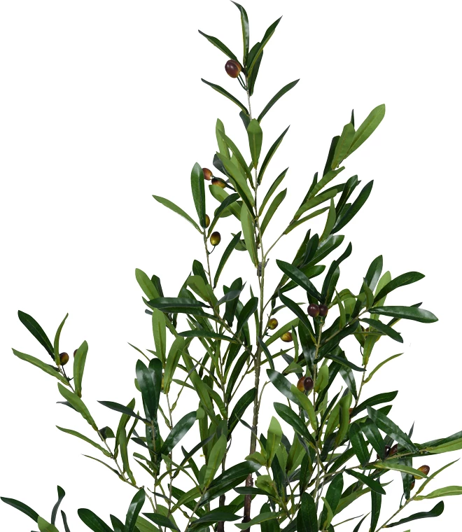 Bimë dekorative ulliri në vazo, jeshile, 120cm