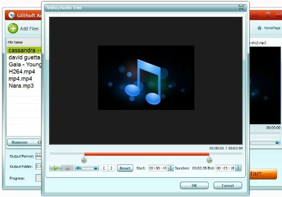 GiliSoft Audio Converter Ripper EN Global