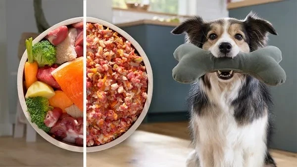 Mulli mishit Bosch Serie 6 MFWS650B, 500 W, zi/argjend