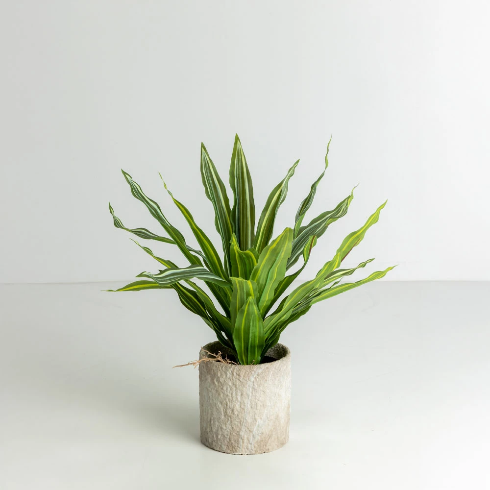 Set vazo për bimë PUMOR, 3 copë, qeramikë, bezhë-bardhë, 18x18x18cm