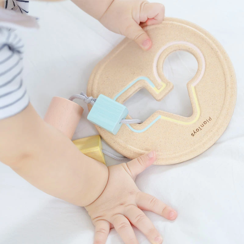 Shape Sorter 5259 12m+