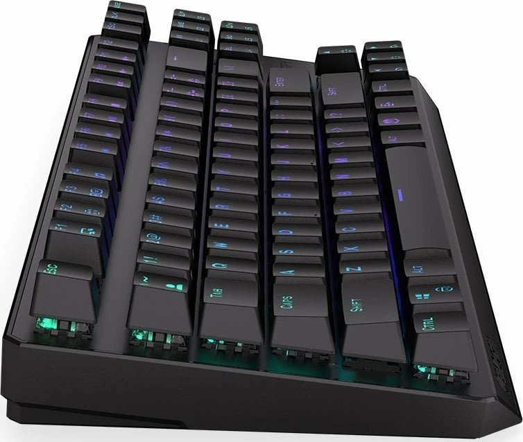 Tastierë mekanike wireless, Endorfy Thock TKL Wireless Red EY5A080, Kailh Box Red, RGB, US (TKL 80%), set me Maus GEM Plus (e zezë)