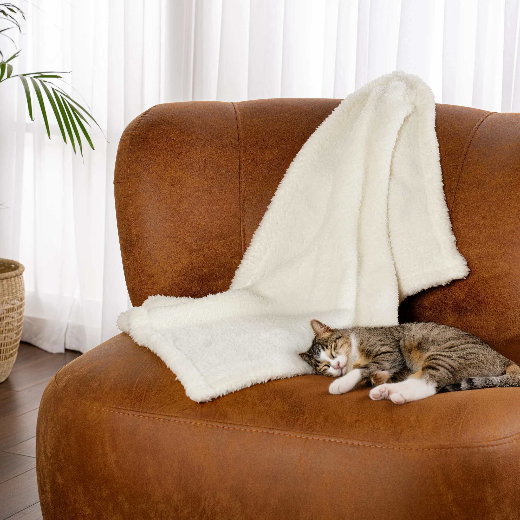 Batanije për mace, krem, 80x100cm