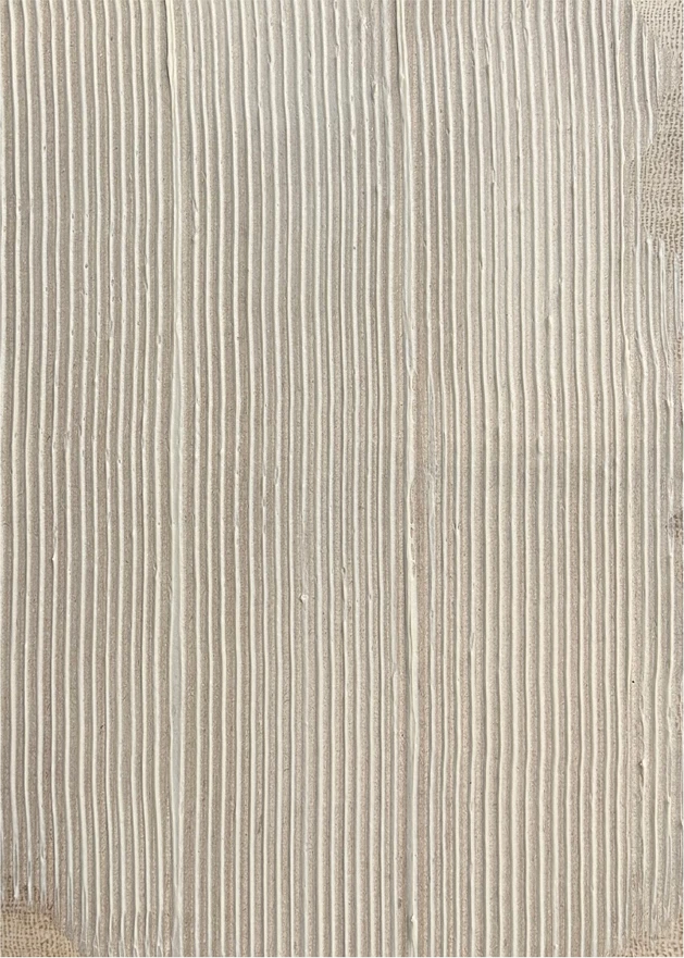 Pikturë dekorative REAP, kanavacë, MDF, bezhë, 60x90x4cm