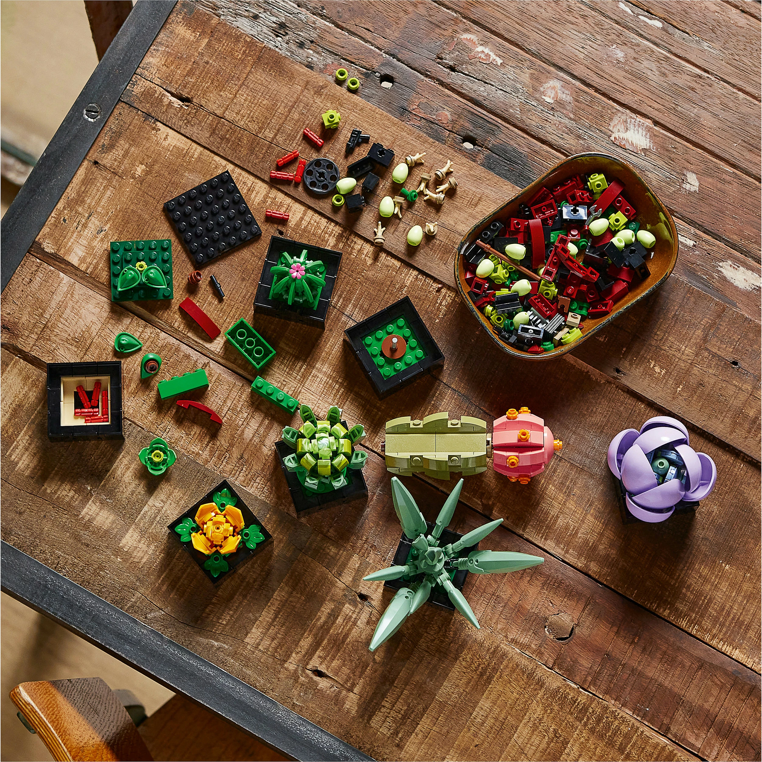 Set ndërtimi LEGO Botanicals Succulents 10309, 771 copë, 18+, multikolor
