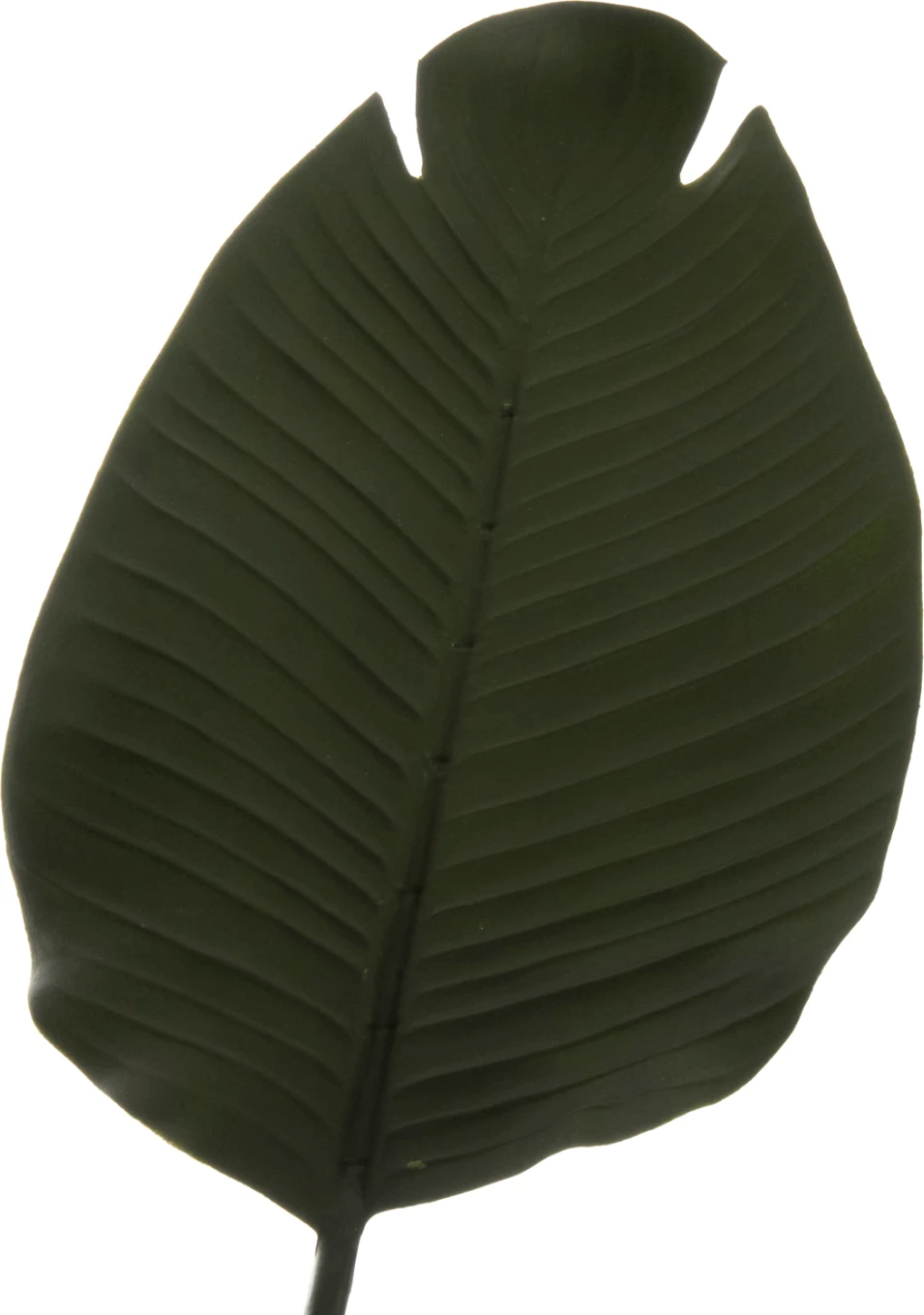 Bimë sintetike dekorative në vazo, FH7969, Strelitziaceae, 115Hcm