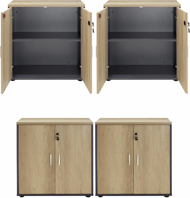 Dollap Lotus me 4 dyer, ngjyrë lisi-gri e errët, 160x40,5x80cm