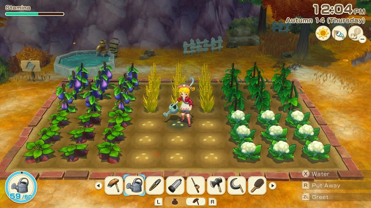 Lojë për Nintendo Switch Marvelous Europe Story of Seasons: Grand Bazaar Limited Edition, PEGI 3, set koleksionist