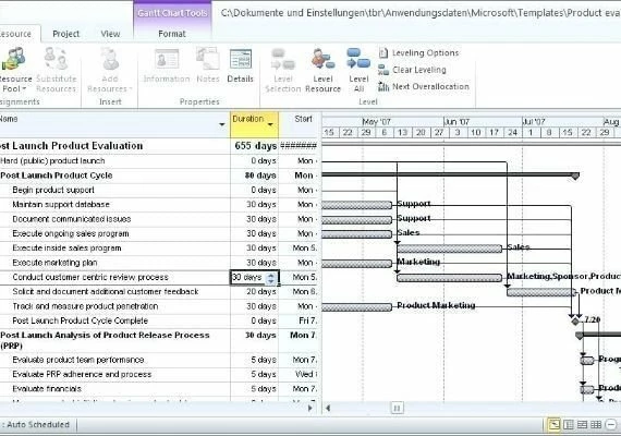 Project Professional 2019 for 2 PC EN Global