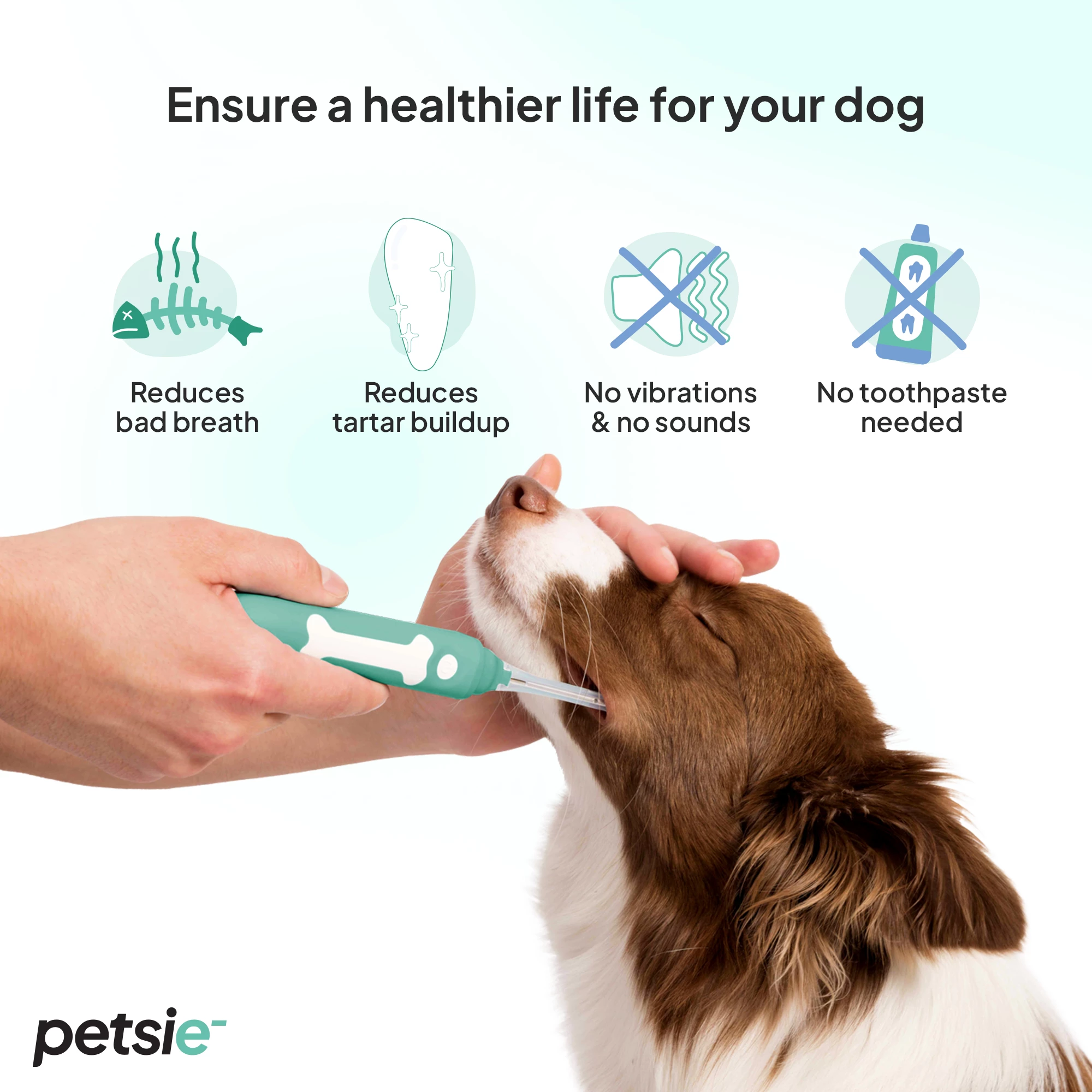 Petsie Furçë dhëmbësh revolucionare e qenve – Teknologji e avancuar elektrolitike për përvojën më të mirë të larjes