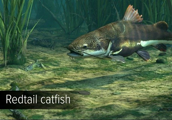 Ultimate Fishing Simulator - Amazon River DLC Global