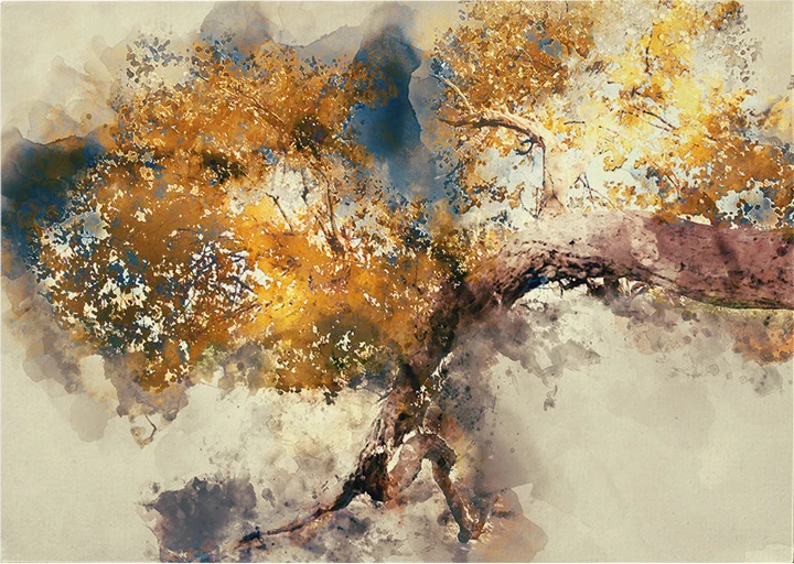 Pikturë kanavace Benkon, printim digjital, shumëngjyrëshe, 70x3x100cm