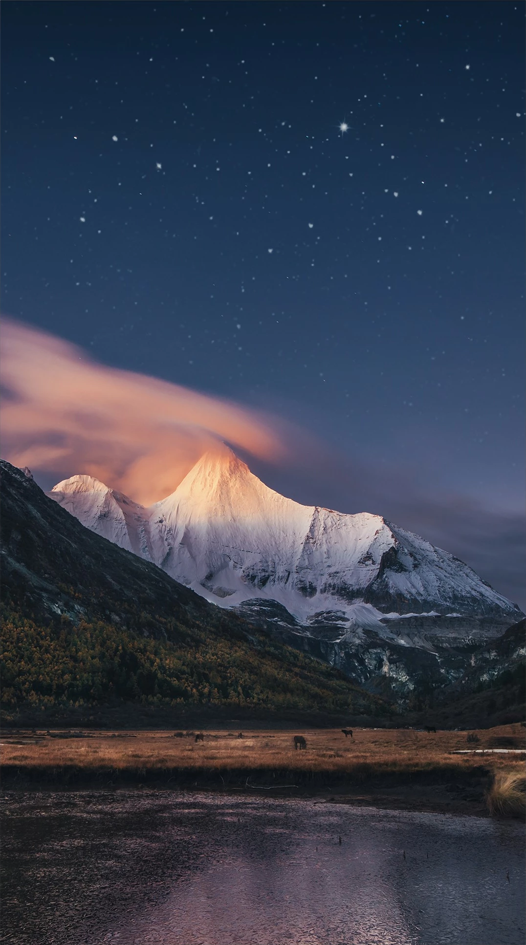 Ekran i madh Samsung Smart Signage VM55B-R, 55 inç, Full HD, kornizë ultra e hollë