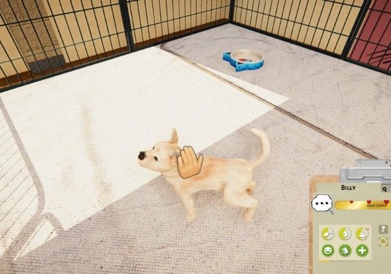 Animal Shelter: Puppies and Kittens  DLC Global
