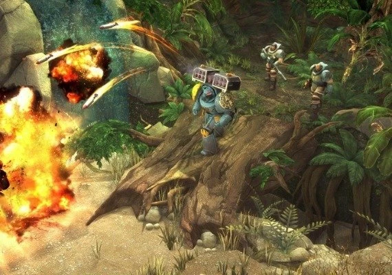 Warhammer 40,000: Space Wolf Special Edition EN Global