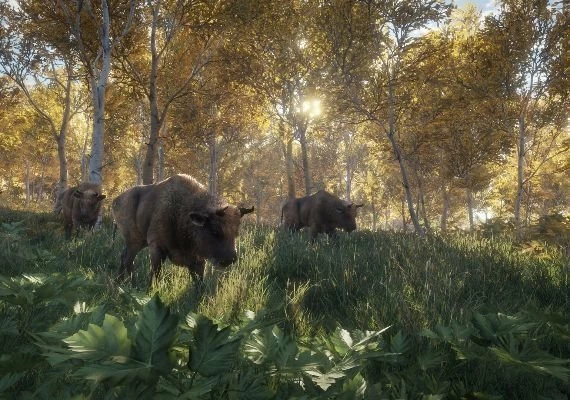 theHunter: Call of the Wild EN/DE/FR/PT/RU Global