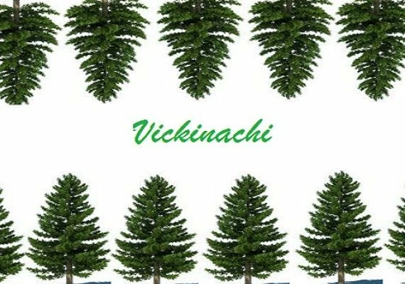 Vickinachi EN Global
