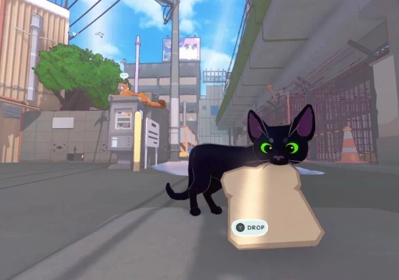 Little Kitty, Big City Global