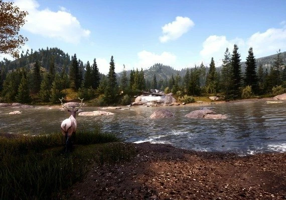 Hunting Simulator 2 Elite Edition Global