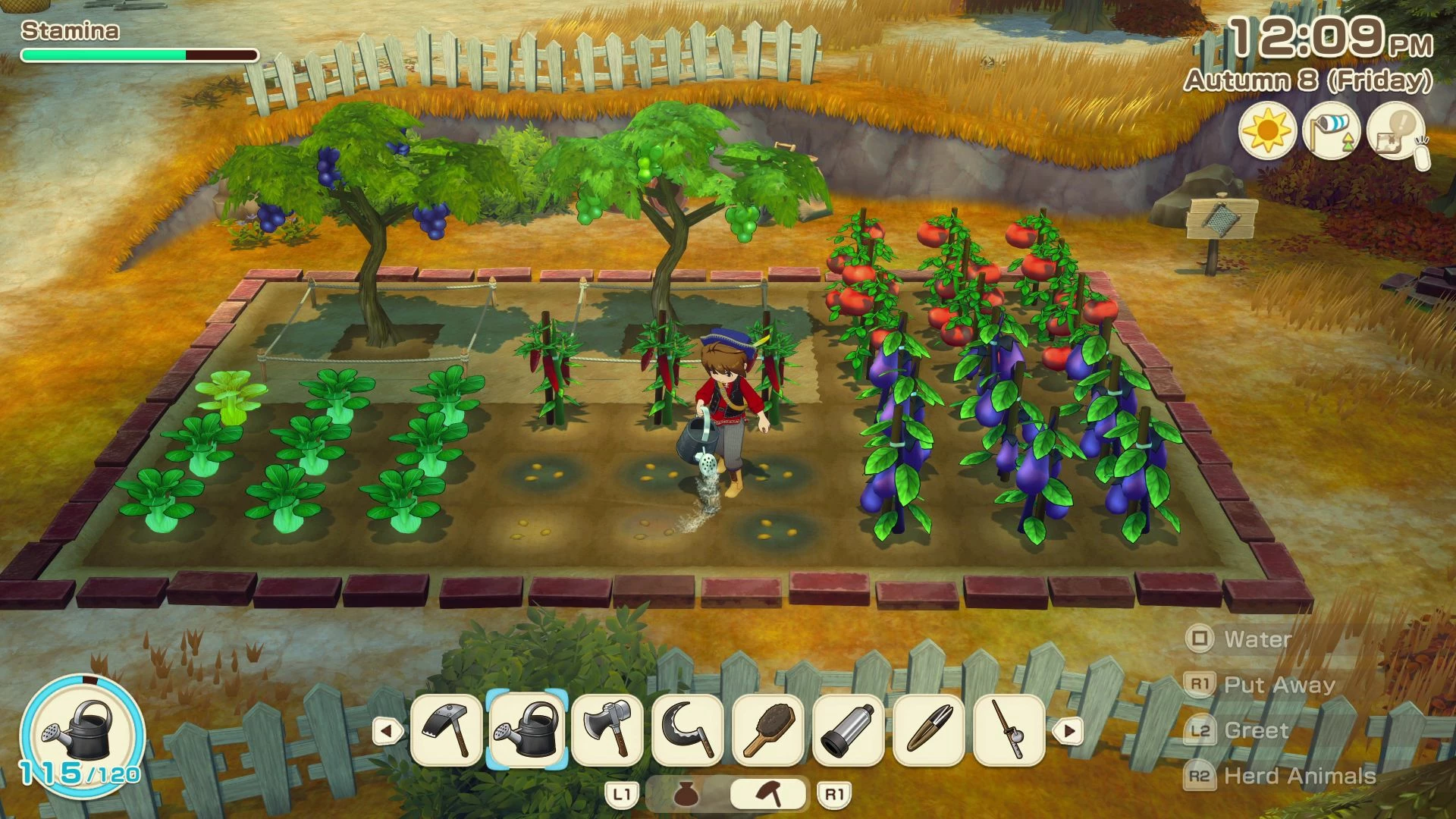 Lojë PS5 Marvelous Europe Story of Seasons: Grand Bazaar PEGI 3