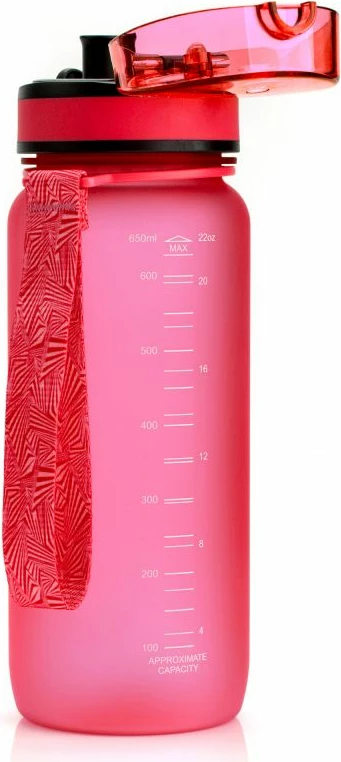 Shishe uji Meteor, 500 ml, rozë