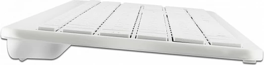 Tastierë wireless DeLOCK 12014, Full-size 100%, QWERTZ gjermane, RF 2.4 GHz, e bardhë