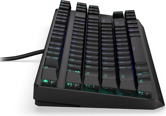Tastierë Endorfy Thock TKL EY5A001 - USB,  e zezë