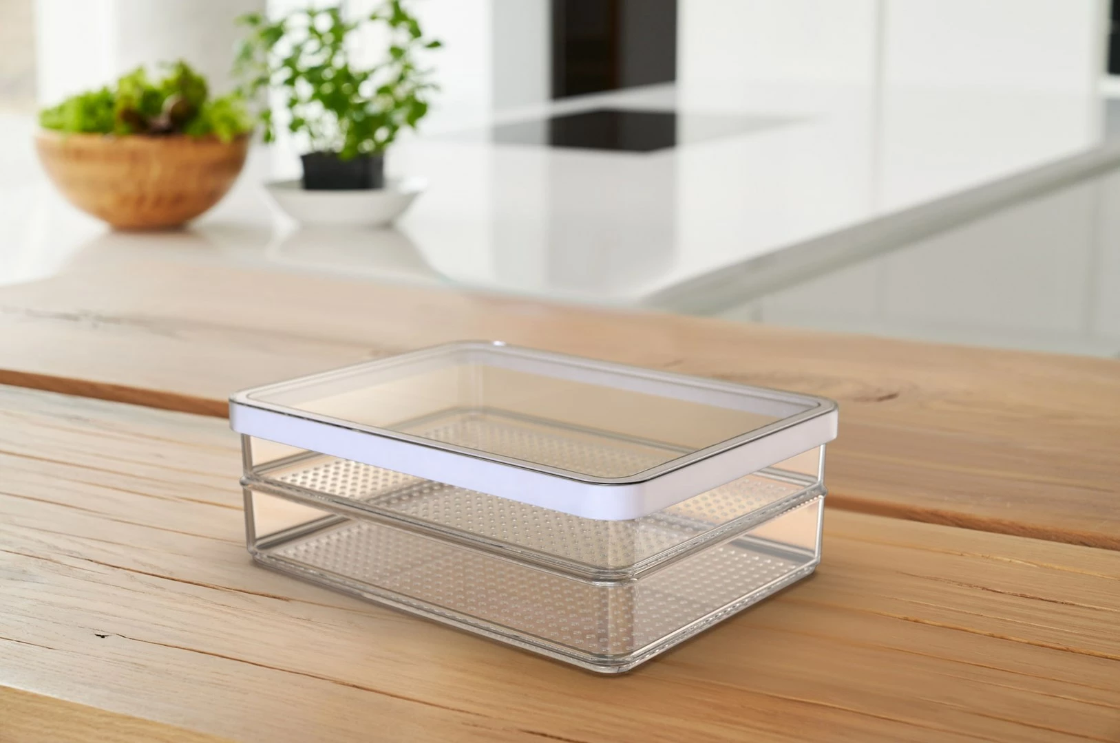 Enë ushqimore Rotho Rondo Loft, 2 x 0.85l, Transparent