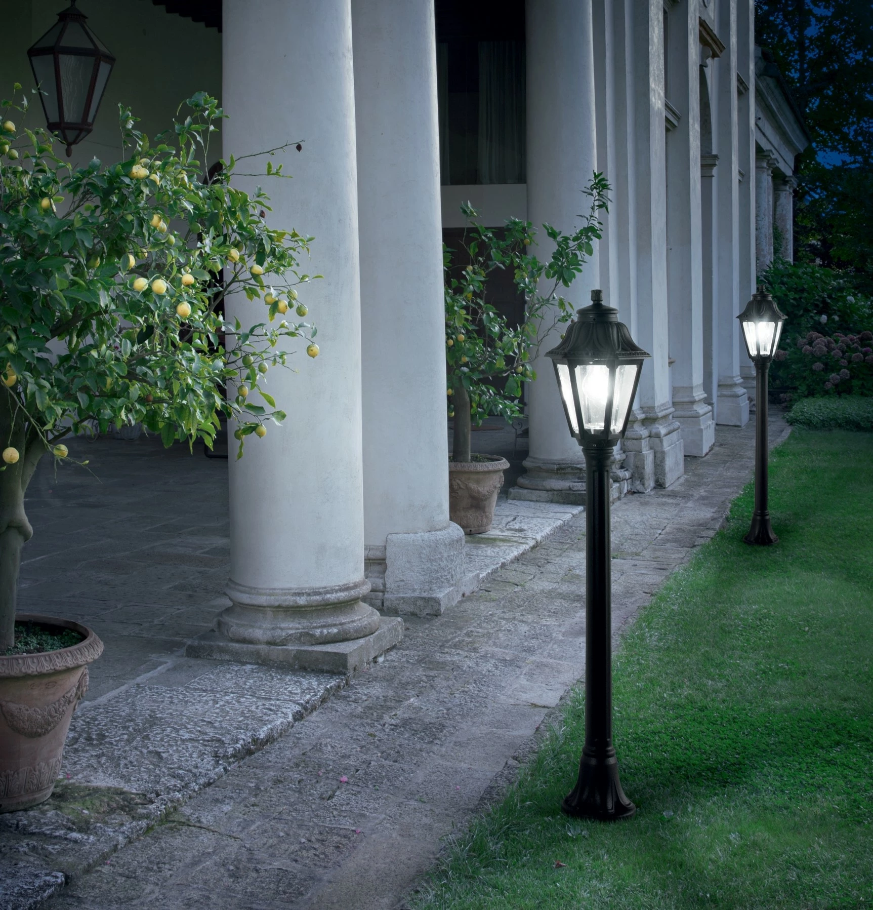 Llambat dyshemeje  Daphne pt1