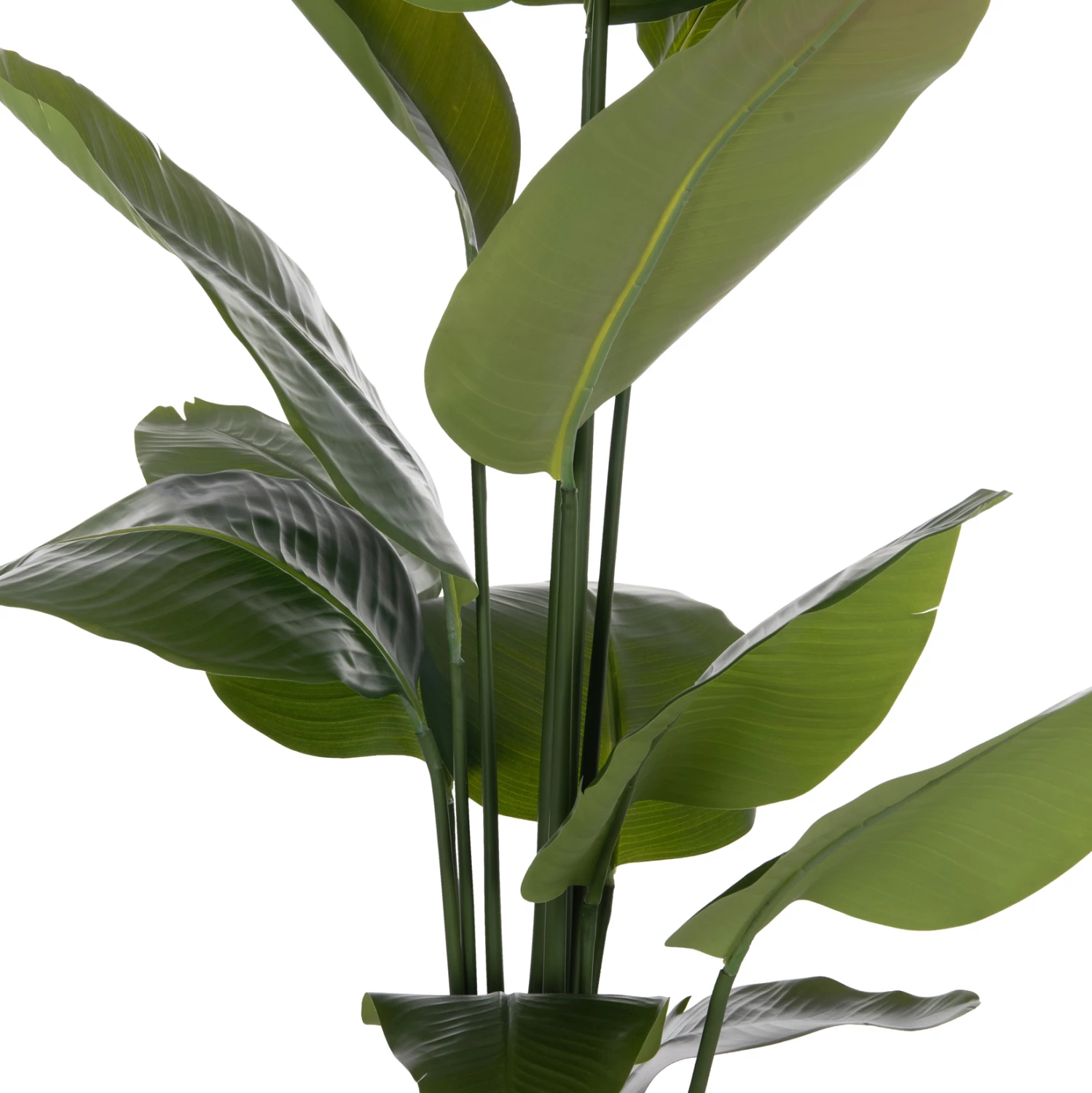 Bimë sintetike dekorative në vazo, Strelitzia, FH4739, Φ18x172cm
