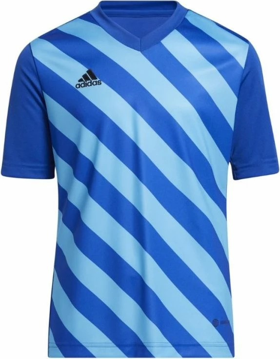Fanellë për fëmijë adidas Entrada 22 Graphic Jersey, blu [Madhësia: 116 cm]