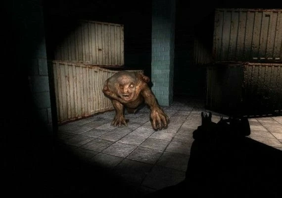 S.T.A.L.K.E.R.: Shadow of Chernobyl EN/DE/FR/IT Global