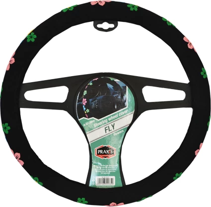 Praxis Mbrojtes i Timonit Flaj