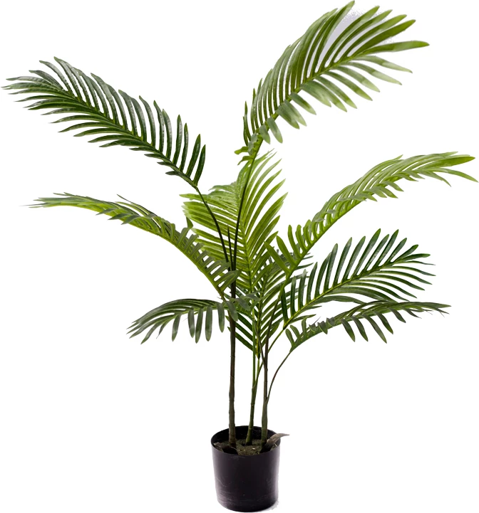 Bimë dekorative Areca në vazo, ngjyrë e gjelbër, H80cm