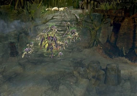 Warhammer 40,000: Dawn of War II - Retribution - Tyranid Race Pack DLC EN Global