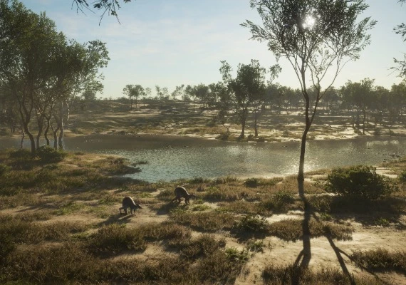 theHunter: Call of the Wild - Emerald Coast Australia DLC Global