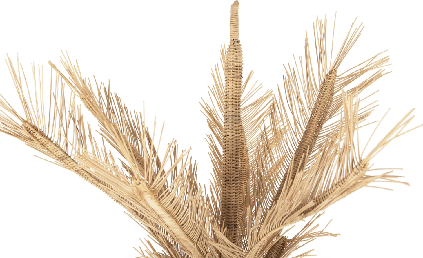 Pemë dekorative FH7871 rattan ngjyrë natyrale Φ110x180Hcm