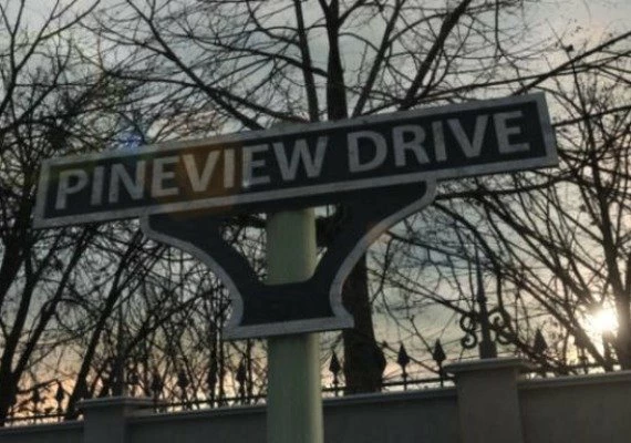 Pineview Drive Global