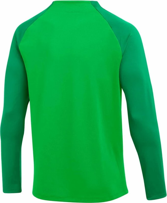 Duks për meshkuj Nike NK Dri-FIT Academy, jeshil [Madhësia: L]