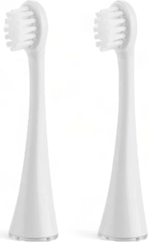 Aksesorë Për Furçë Dhëmbësh ETA SONETIC 070690100