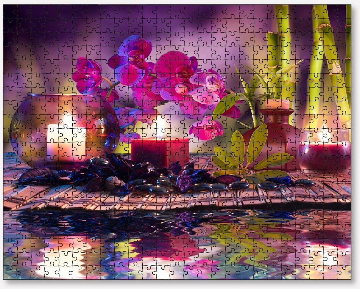 Puzzle 500 pjesësh, shumëngjyrësh, Evila Originals, PZL_0194_500
