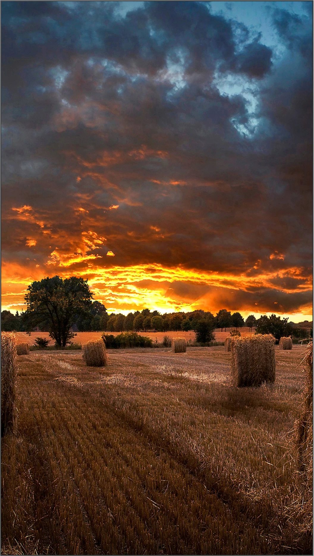 Monitor Samsung VM46B-U, 46", LCD, Full HD, 24/7