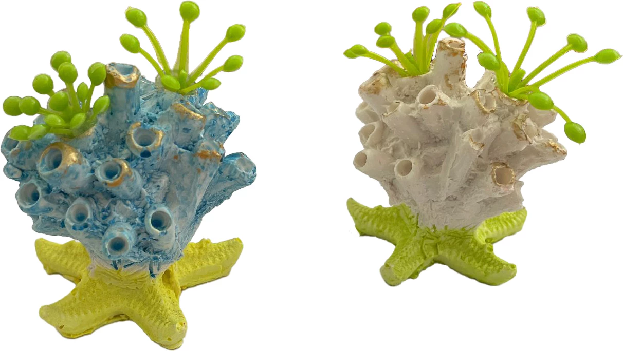 Dekor akuariumi – Anemon