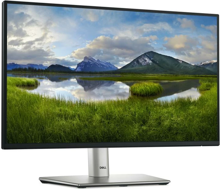 Monitor Dell P2225H 22\" TFT/LCD, Silver/Black