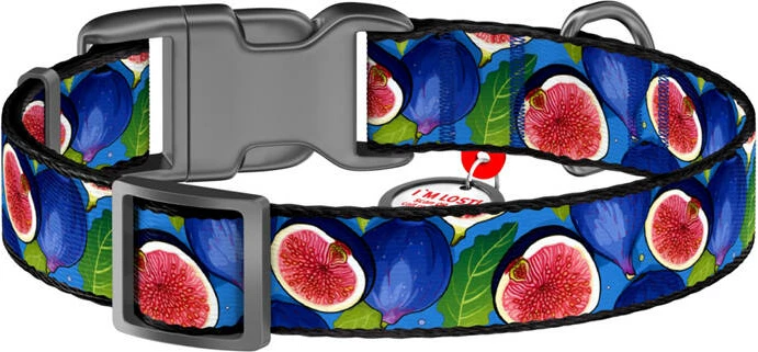 Qafore najloni për qen Waudog Fig me QR kod, S, blu