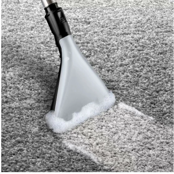 Fshesë me ujë Bosch ProAnimal BWD421PET, 5L, 2100W, HEPA, Kuqe/Zi