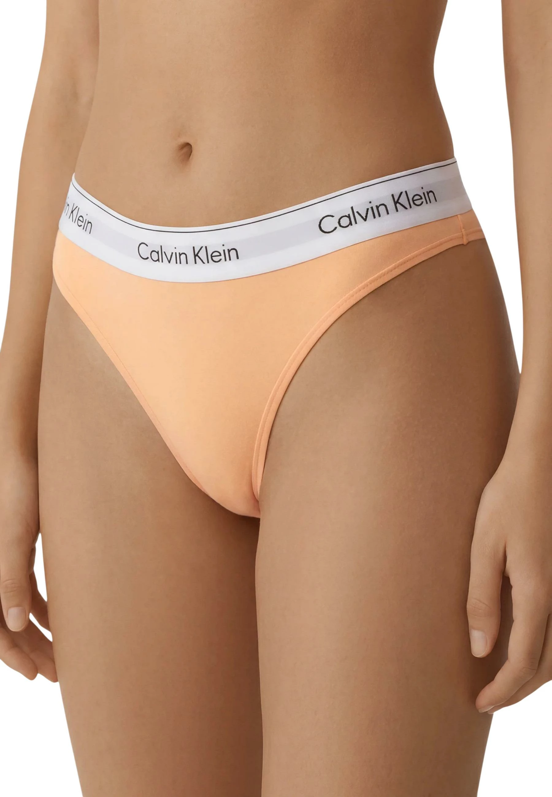 Të brendshme për femra Calvin Klein Underwear LV00QF8522, Fishing [Madhësia: L]