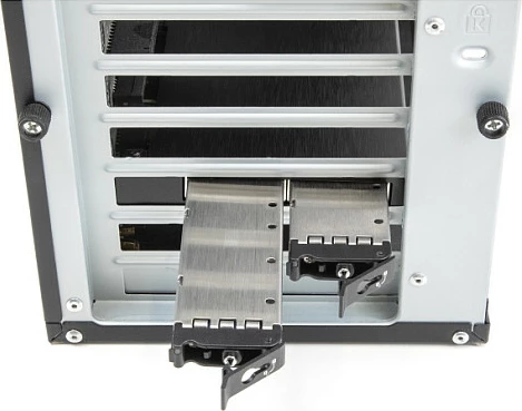 Kartë PCIe DeLOCK Mobile Rack për 2x M.2 NVMe SSD, PCIe 4.0, ftohje aktive, e zezë